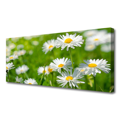Quadro canvas Planta de flor margarida