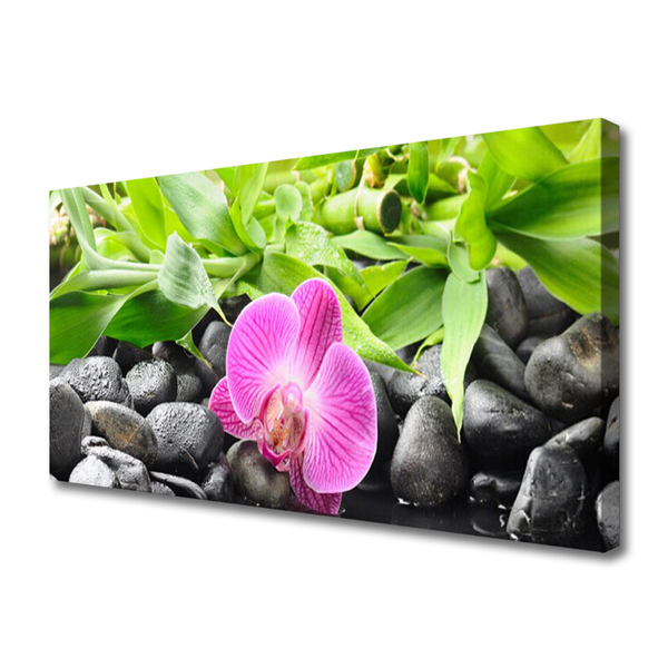 Quadro em tela Flores Orquídea Planta