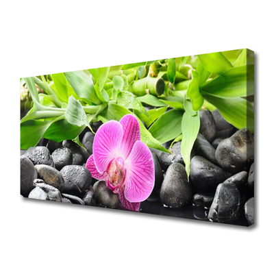 Quadro em tela Flores Orquídea Planta