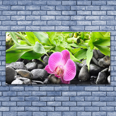 Quadro em tela Flores Orquídea Planta