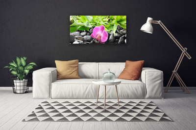 Quadro em tela Flores Orquídea Planta