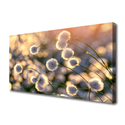 Quadro canvas Flores Planta Natureza