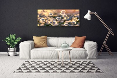 Quadro canvas Flores Planta Natureza