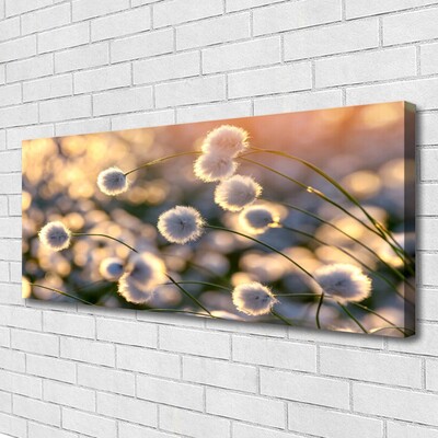 Quadro canvas Flores Planta Natureza