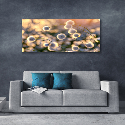 Quadro canvas Flores Planta Natureza