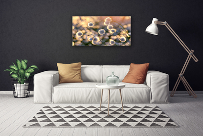 Quadro canvas Flores Planta Natureza
