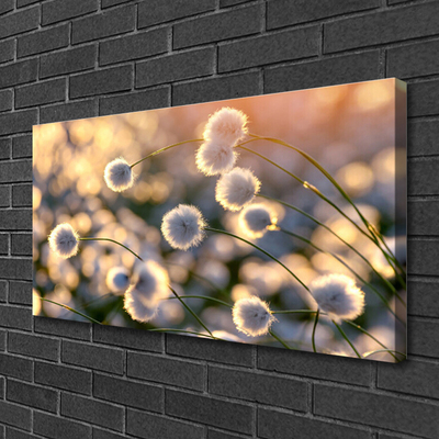 Quadro canvas Flores Planta Natureza