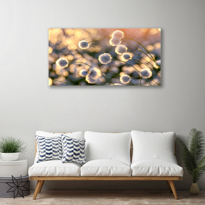 Quadro canvas Flores Planta Natureza