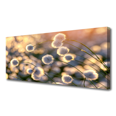 Quadro canvas Flores Planta Natureza