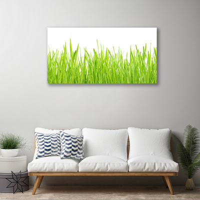 Quadro em tela Grama Natureza Planta