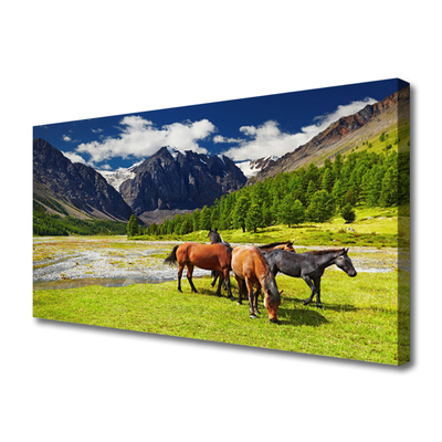 Quadro canvas Montanhas Árvores Cavalos Animais