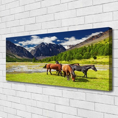 Quadro canvas Montanhas Árvores Cavalos Animais
