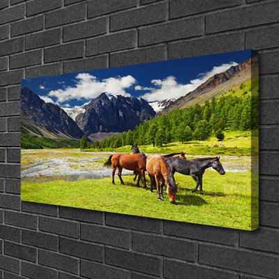 Quadro canvas Montanhas Árvores Cavalos Animais