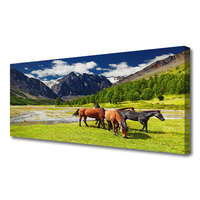 Quadro canvas Montanhas Árvores Cavalos Animais