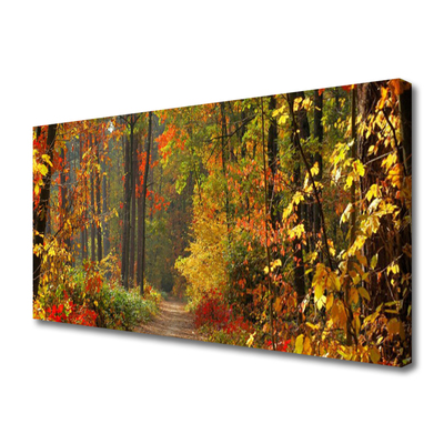 Quadro em tela Floresta Natureza Outono