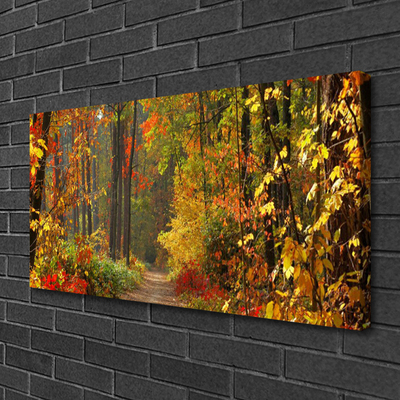 Quadro em tela Floresta Natureza Outono