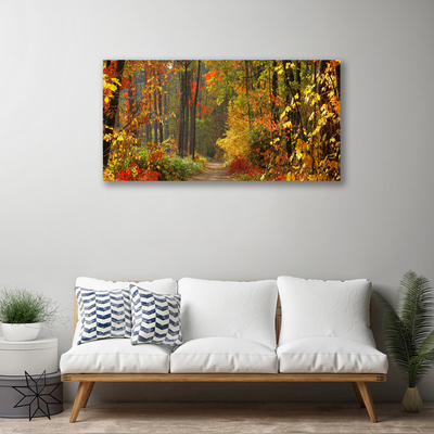 Quadro em tela Floresta Natureza Outono