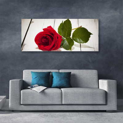 Quadro canvas Rosa Flor Planta Natureza
