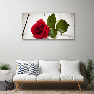 Quadro canvas Rosa Flor Planta Natureza
