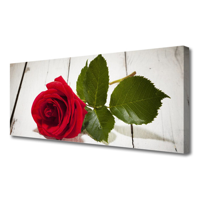Quadro canvas Rosa Flor Planta Natureza