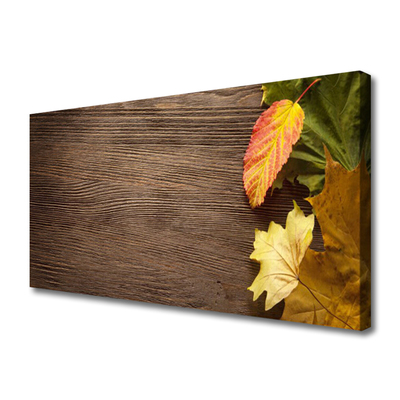 Quadro canvas Folhas Flores Natureza