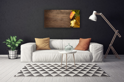 Quadro canvas Folhas Flores Natureza