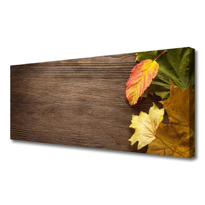 Quadro canvas Folhas Flores Natureza