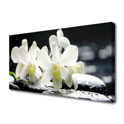 Quadro canvas Pedras Flores Orquídea