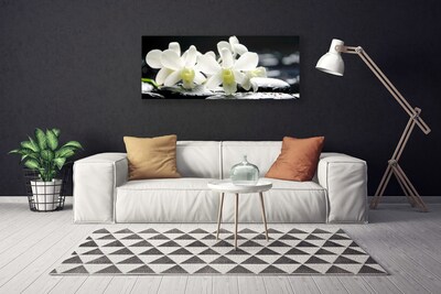 Quadro canvas Pedras Flores Orquídea