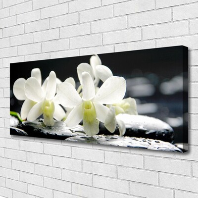 Quadro canvas Pedras Flores Orquídea