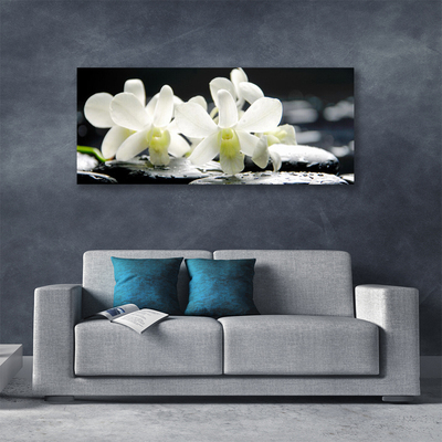 Quadro canvas Pedras Flores Orquídea