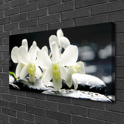 Quadro canvas Pedras Flores Orquídea
