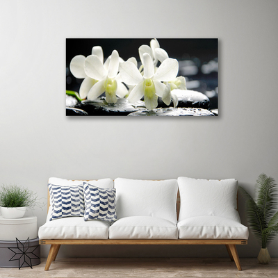 Quadro canvas Pedras Flores Orquídea