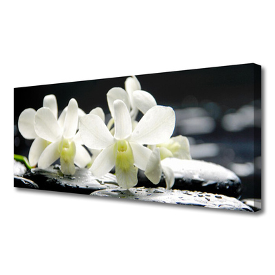 Quadro canvas Pedras Flores Orquídea