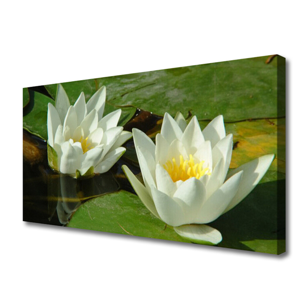 Quadro canvas Flores Plantas Natureza