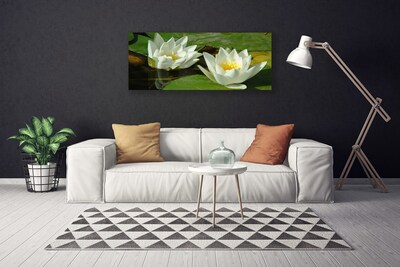 Quadro canvas Flores Plantas Natureza