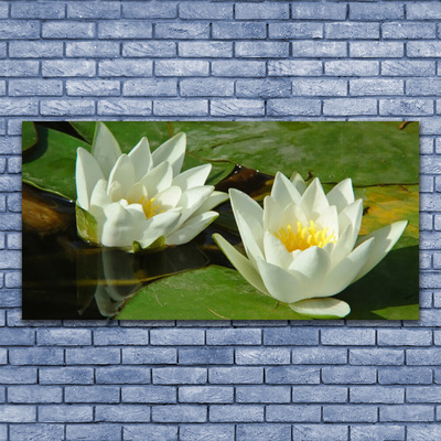Quadro canvas Flores Plantas Natureza