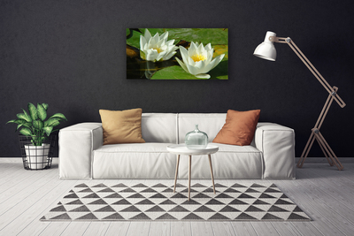 Quadro canvas Flores Plantas Natureza