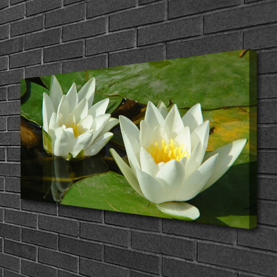 Quadro canvas Flores Plantas Natureza