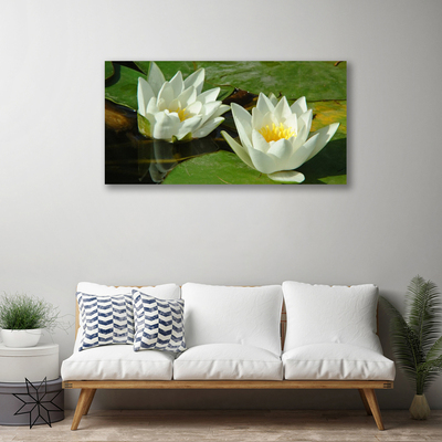 Quadro canvas Flores Plantas Natureza