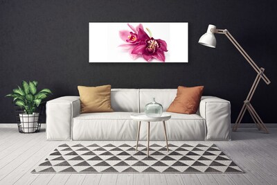 Quadro canvas Flores Planta Natureza