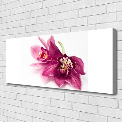 Quadro canvas Flores Planta Natureza