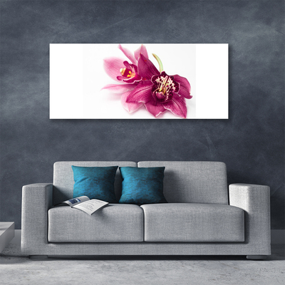 Quadro canvas Flores Planta Natureza