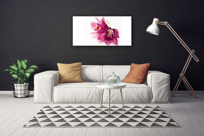 Quadro canvas Flores Planta Natureza