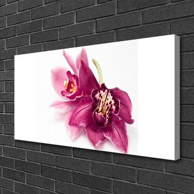Quadro canvas Flores Planta Natureza