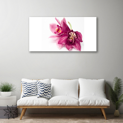 Quadro canvas Flores Planta Natureza