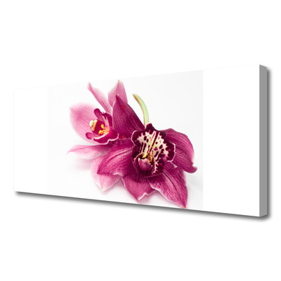Quadro canvas Flores Planta Natureza
