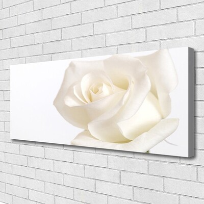 Quadro canvas Flores de rosas