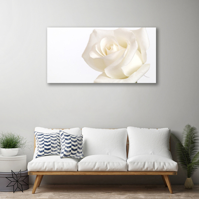 Quadro canvas Flores de rosas