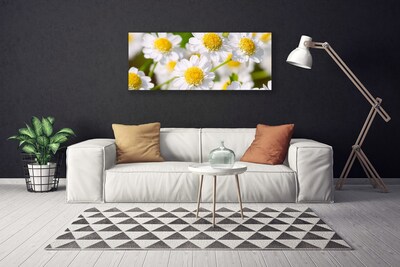 Quadro em tela Flores Margarida Natureza